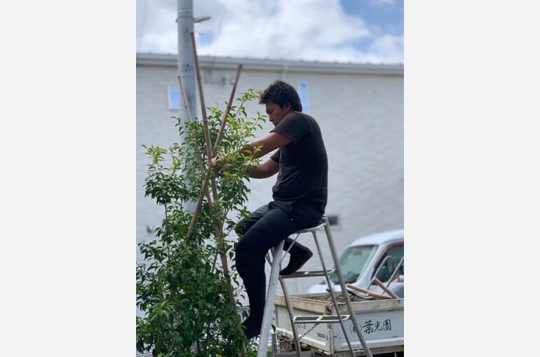 植栽作業